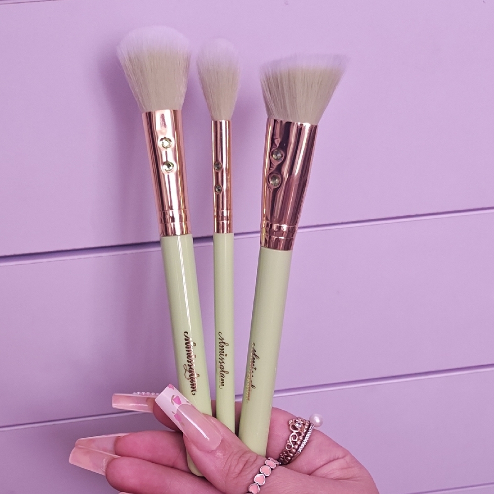 NWOT 3 piece Limited Edition SLMISSGLAM brush set